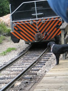 The Train