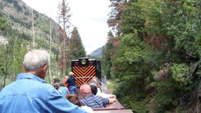 Riding the Train