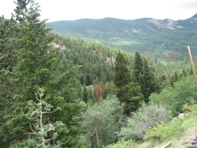 View from the Train