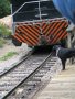 The Train