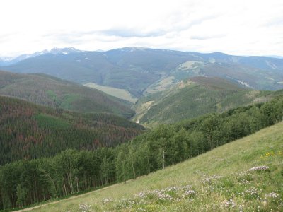 Vail Mountain View